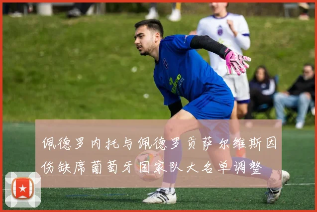 佩德罗内托与佩德罗贡萨尔维斯因伤缺席葡萄牙国家队大名单调整