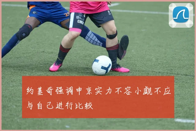 约基奇强调申京实力不容小觑不应与自己进行比较