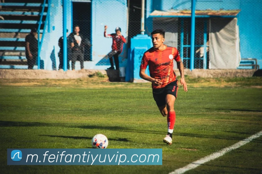 非凡体育平台生态图