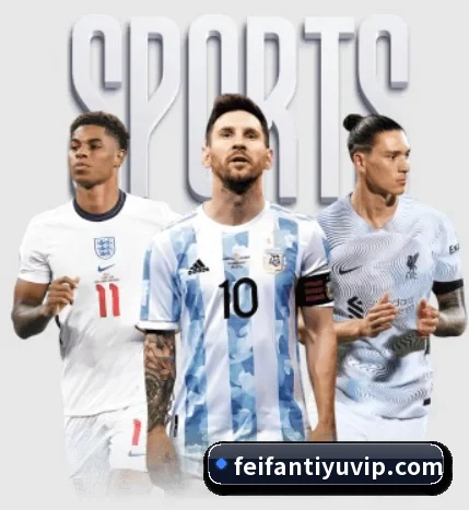 非凡体育的故事 - 体育资讯内容服务